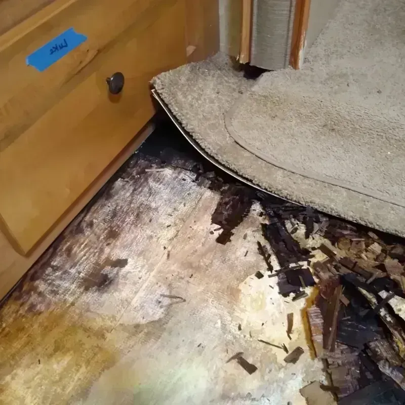 Best Wood Floor Water Damage Service in North Hartsville, SC